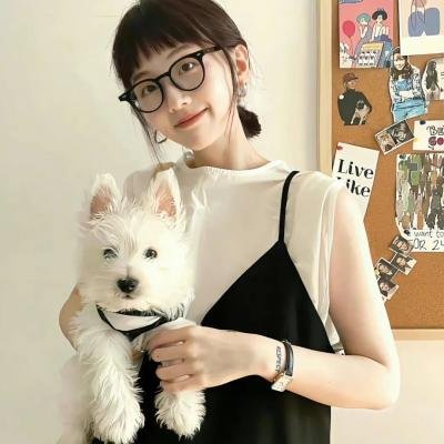 贞操带